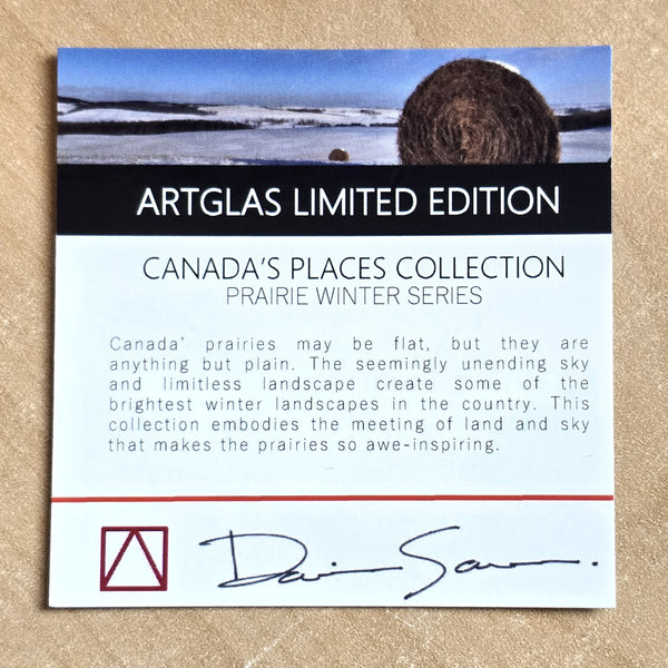 Canada's Places: Prairie Winter, MB/SK - Small Pendant #75