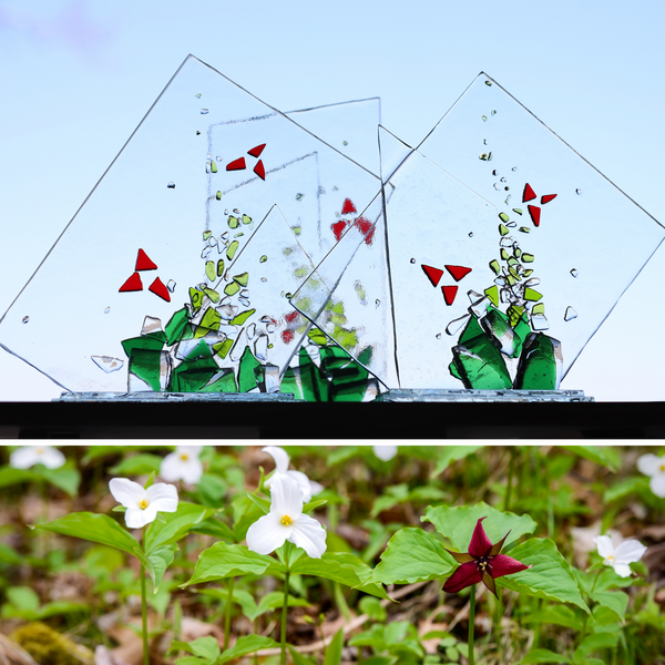 Wildflower Collection: Trillium