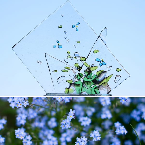 Wildflower Collection: Forget-Me-Not