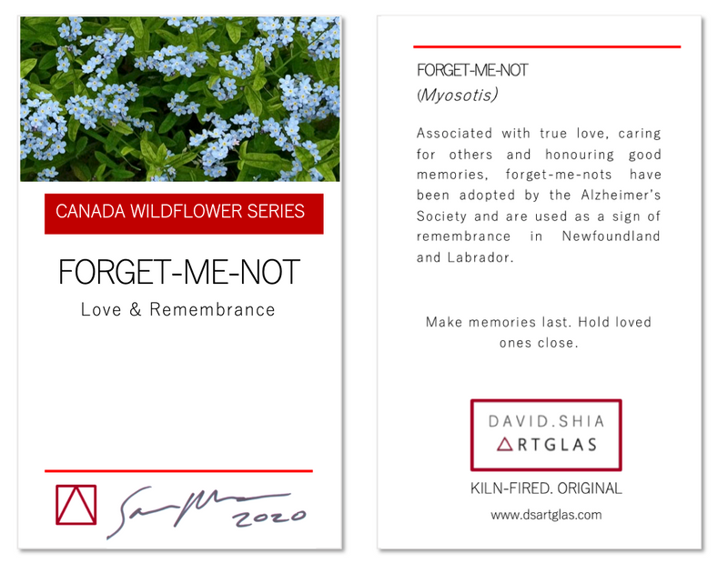 Wildflower Collection: Forget-Me-Not