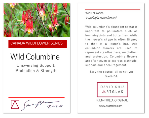 Wildflower Collection: Wild Columbine