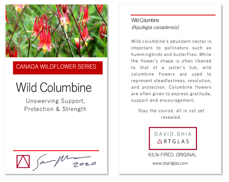 Wildflower Collection: Wild Columbine