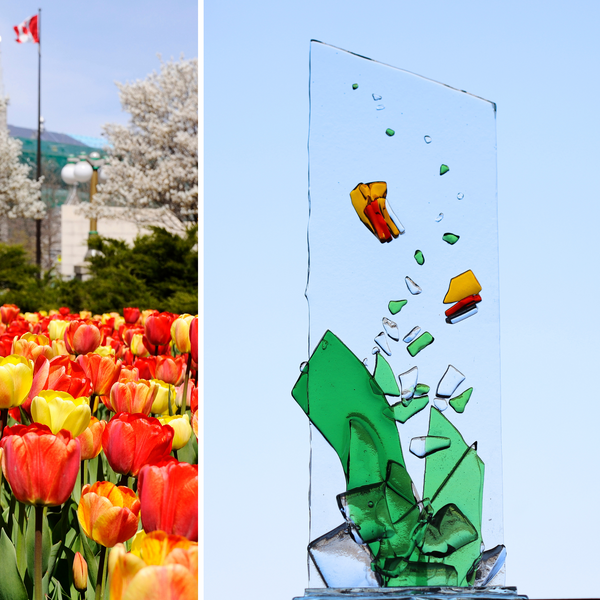 Wildflower Collection: Tulips